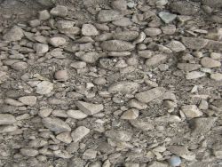 three quarter inch crush close up sfs